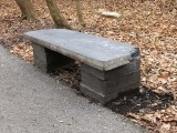 Trailside Bench