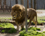 _MG_0691a_8x10mr.jpg