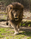 _MG_9935a_8x10mr.jpg