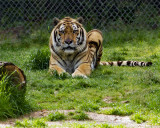 _MG_7202 8x10khan.jpg