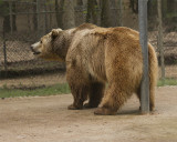 _MG_5177a 8x10yo.jpg