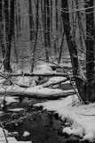 IMG_0158.jpg