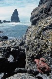 Oregon