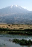 TR155-Mount-Ararat-2003-Dimage16bit-scan2021_edit.jpg