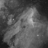 IC 5070, la Nébuleuse du Pélican