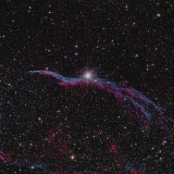 NGC 6960, dans la Nbuleuse du Voile