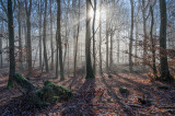 Best of Taunus
