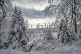 Taunus (Winter 2020/2021)