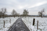 The Fields between Bad Homburg and Friedrichsdorf (Winter 2020/2021)