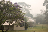 Our rear garden in smoke 