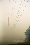 Powerlines disappearing into smoke haze