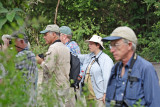 Ron, Steve, Barbara, and Joe looking for butterflies