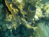 IMG_0452.JPG