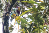Philippines, March-April 2019