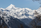 Pfyn-Finges Nature Park, Wallis, Switzerland