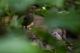 Ecuador, September-October 2021