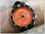 SKX011J_1.jpg