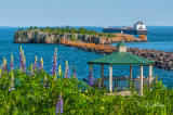 * 115.7 - Silver Bay: Gazebo, Lupines, and Boat