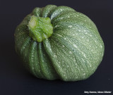 Ronde courgette - Round zucchini