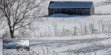 DSC06905_nu_3_detail.jpg