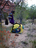 September 2019 Escalante area - Phipps camp