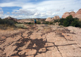 We then hiked cross country south east towards The Gulch (another canyon feeding into the Escalante)