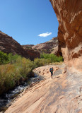 Boulder creek heading upstream