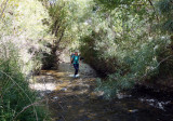 Boulder creek heading upstream