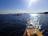 May- Kayaking locally out to Chanonry point