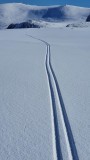 March 22 Cairngorm ski tour- tracks in fresh snow