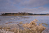 Liwiec
