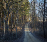 Gravel Road at Lowden Forest 