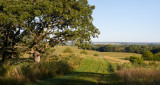 End of the Ridge in August