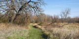 Trail and Crooked Tree 