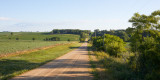 Morning Shadows along Townline Road 