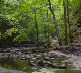 Trail in the Upper Dells 