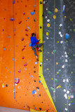 P1240861 MLR2020.jpg