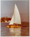 Dads catamaran copy 3 MLR2020.jpg