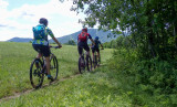 P7315804 TG6MLR2020.jpg