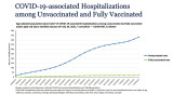 7-24-21 hospitalization rate vaccinated vs un.jpg