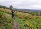 P9227168 TG6MLR2020.jpg