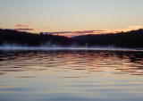 P9297288 TG6MLR2020.jpg