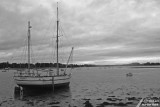 Île Tudy - Popoff