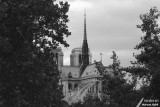 15-04-2019 : Esmeralda & Quasimodo are sad / Esmeralda & Quasimodo sont tristes
