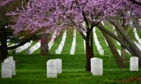 Arlington National Cemetery, United States military cemetery,  Arlington County, Virginia 355 .jpg