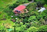 Farm in the Pahoa area, Big Island, Hawaii 988 