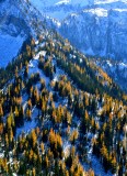 Ridge on Mc Gregor Mountain, North Cascade Mountains, Washington 571