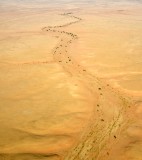 Life in dry river, Riyadh Region, Saudi Arabia 188