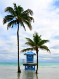Lifeguard Station in Hollywood Florida 445a