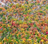 Fall in Northern Virginia 